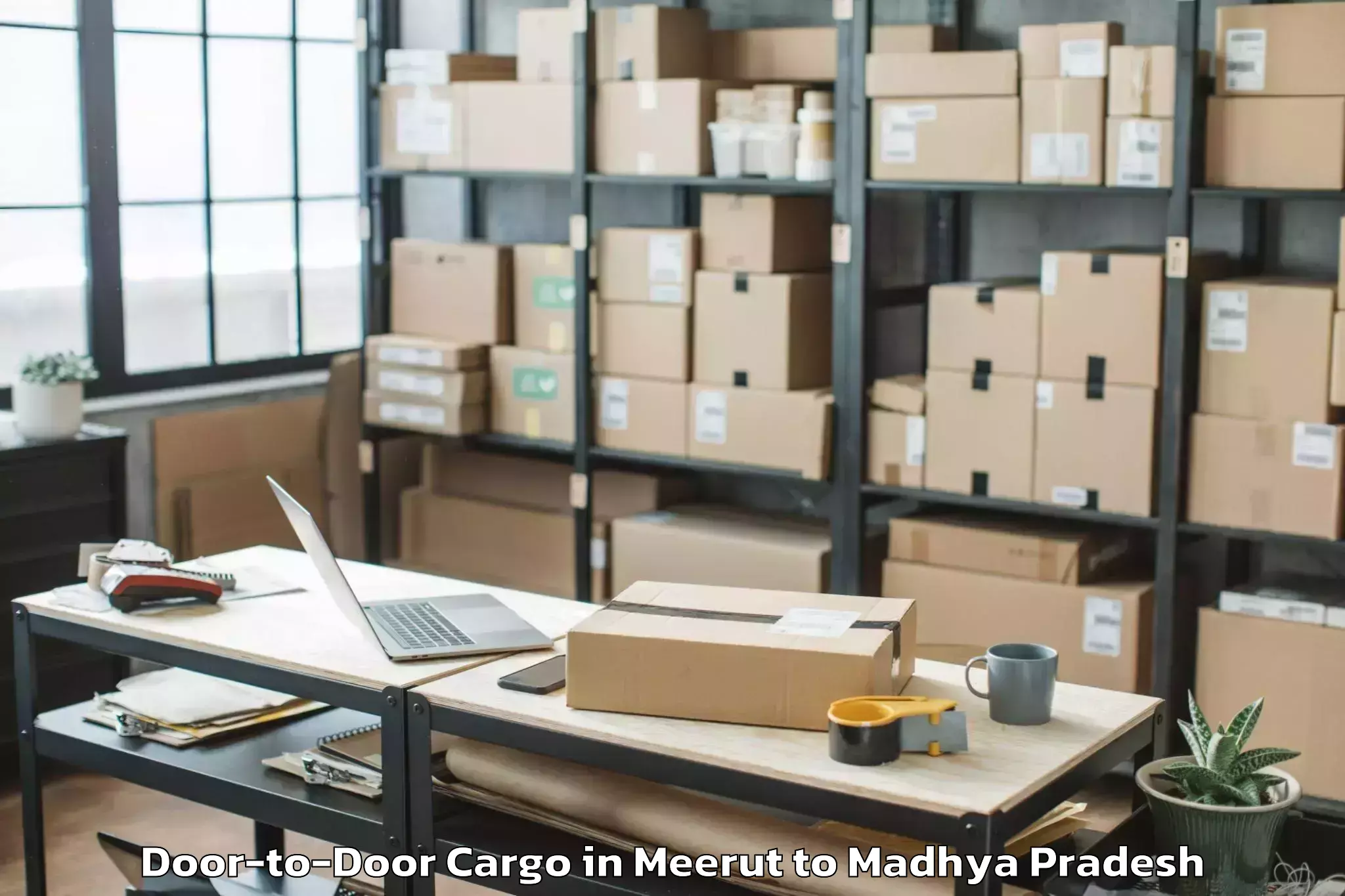 Book Meerut to Kalapipal Mandi Door To Door Cargo Online